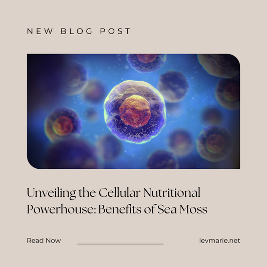 Unveiling the Cellular Nutritional Powerhouse: Benefits of Sea Moss