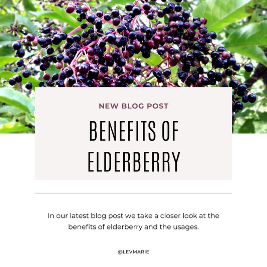 Benefits of Elderberry