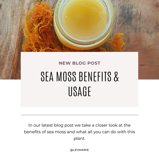 Health Benefits and Usage of Sea Moss