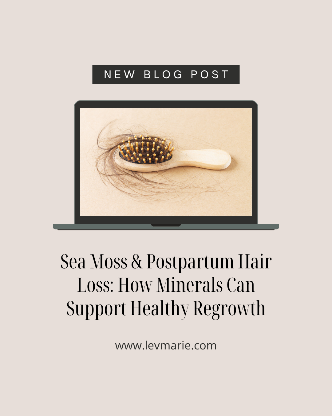 Sea Moss & Postpartum Hair Loss: How Minerals Can Support Healthy Regrowth