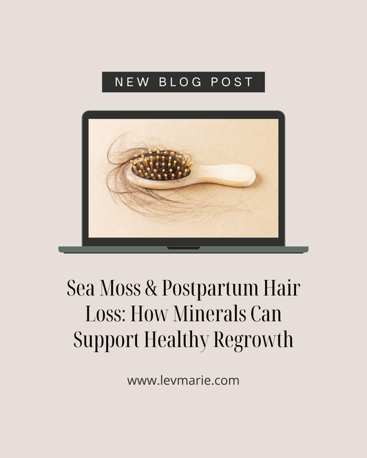 Sea Moss & Postpartum Hair Loss: How Minerals Can Support Healthy Regrowth